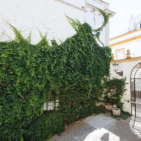 Appartement Vidrio *